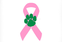 A pink ribbon graphic with the district green pawprint centered over where the ribbon crosses.