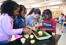 Four Greenview Upper Elementary students gather around a tray of soil, planting vegetable cuttings during a hands-on STEM activity led by teacher Steve Milazzotto at South Euclid-Lyndhurst Schools.