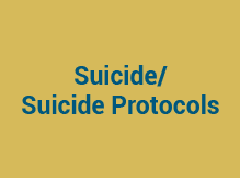 Suicide/Suicide Protocols/Threat Assessment (HB 123)