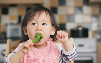Toddler with bib on eating broccoli 