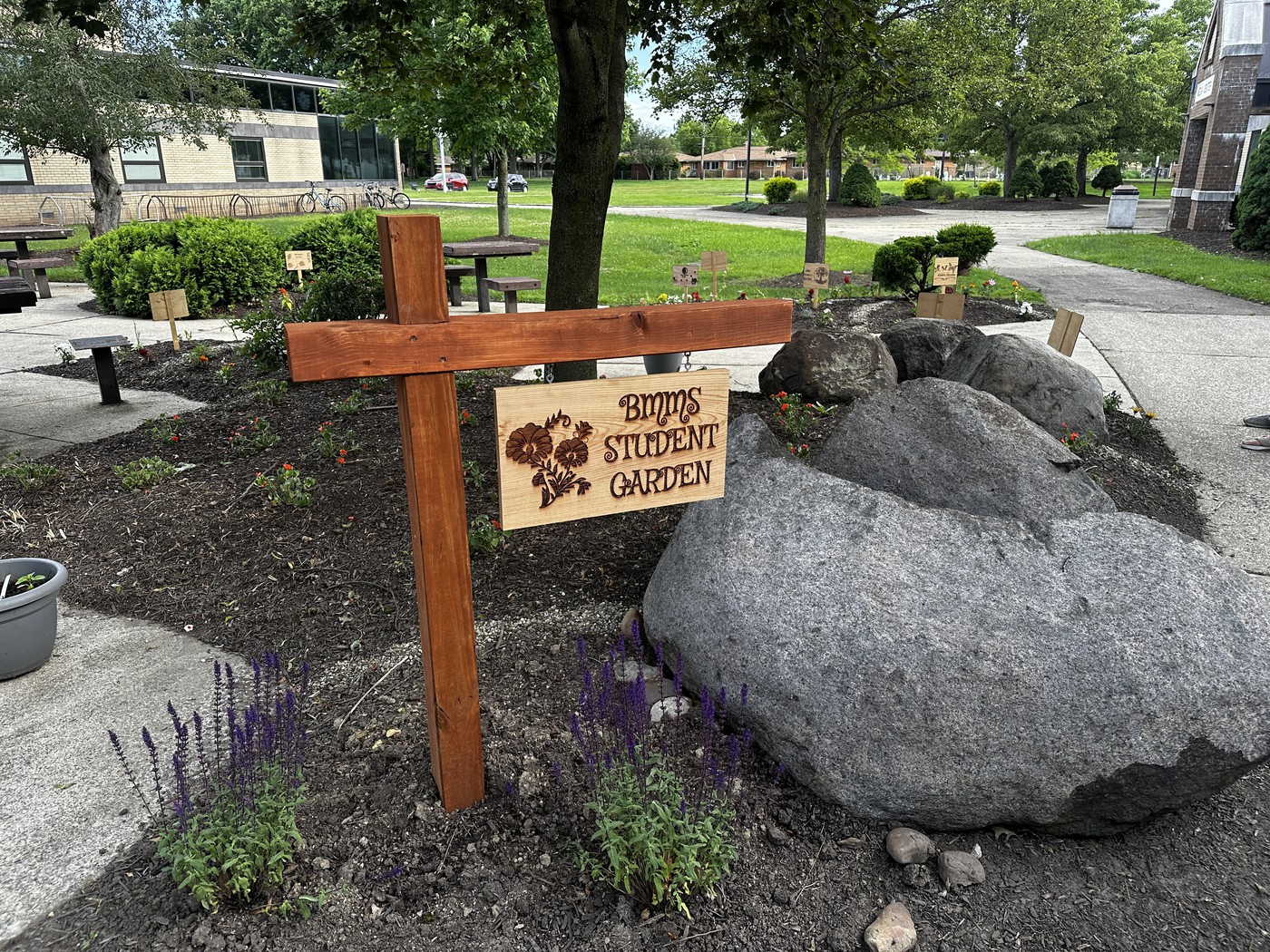 The image shows the "BMMS Student Garden" on what appears to be a college or school campus. The garden features several large boulders surrounded by flowers and shrubs. A wooden sign reads "BMMS Student Garden" and is mounted on a simple wooden post. The garden is situated in a grassy area with trees, sidewalks and buildings visible in the background, suggesting it is part of a larger campus setting. The rocks, plants and sign create a peaceful, natural aesthetic within the more developed surroundings.