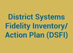 District Systems Fidelity Inventory/Action Plan (DSFI)