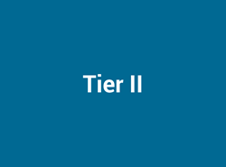 Tier II